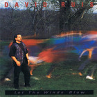 David Ruis - Let The Winds Blow
