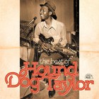 The Best Of Hound Dog Taylor