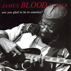 James Blood Ulmer - Are You Glad To Be In America? (Vinyl)