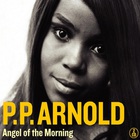P.P. Arnold - Angel Of The Morning CD1