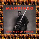 Mandingo - New World Power