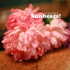 Sunbears! - Gnc Live Sessions