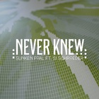 Sunken Foal - Never Knew (CDS)