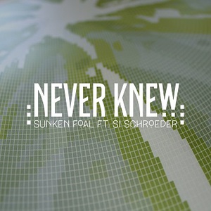 Never Knew (CDS)