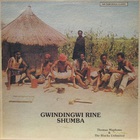 Thomas Mapfumo - Gwindingwi Rine Shumba