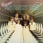 Bigott - Pavement Tree
