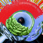 Morphic Fields