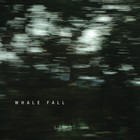 Whale Fall - Whale Fall