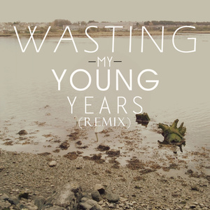 Wasting My Young Years (Remix) (CDS)