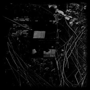 Dopamine (EP)