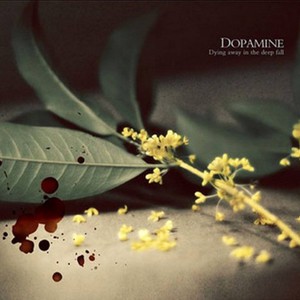 Dying Away In The Deep Fall