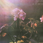 Luis Alberto Spinetta - A 18' Del Sol (Remastered 2008)