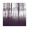 Oddarrang - In Cinema