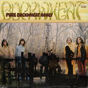 Pure Buckwheat Honey (Vinyl)
