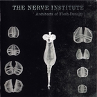 The Nerve Institute - Architects Of Flesh-Density
