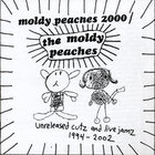 The Moldy Peaches - Unreleased Cutz And Live Jamz 1994-2002 CD1