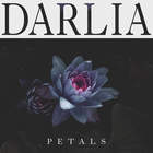 Darlia - Petals