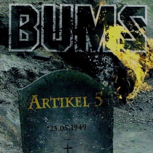 Artikel 5