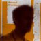 Randall Bramblett - See Through Me