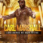 Carl Marshall - Love Brings Me Back To You