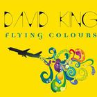 David King - Flying Colours