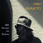 James McMurtry - Walk Between The Raindrops