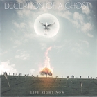 Deception Of A Ghost - Life Right Now