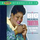 Big Mama Thornton - They Call Me Big Mama (With Harlem Stars)