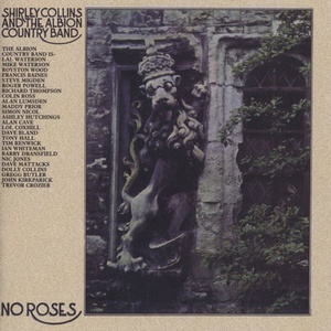 No Roses (Vinyl)