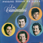 Los Caminantes - Por Que Tengo Tu Amor (Vinyl)