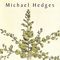 Michael Hedges - Taproot