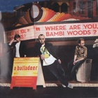A Balladeer - Where Are You, Bambi Woods