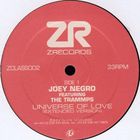 Joey Negro & The Sunburst Band - Universe Of Love / Big Blow (VLS)