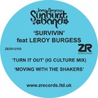 The Sunburst Band - Survivin' (Feat. Leroy Burgess)