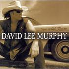 David Lee Murphy - Tryin' To Get There