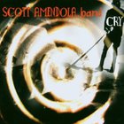 Scott Amendola Band - Cry