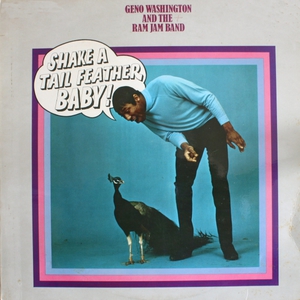 Shake A Tail Feather Baby! (Vinyl)