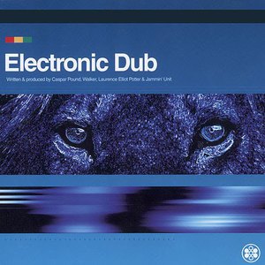 Electronic Dub