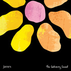 James - The Gathering Sound CD2