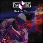 The Box - Black Dog There