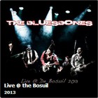 The Bluesbones - Live @ The Bosuil