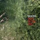 The Braids - Deep In The Iris
