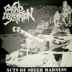 Beyond Description - Acts Of Sheer Madness
