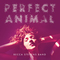 Becca Stevens Band - Perfect Animal