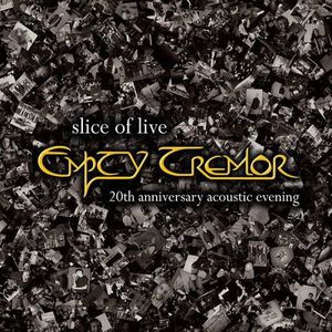 Slice Of Live: 20Th Anniversary Acoustic Evening