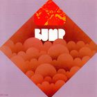 Bump - Bump (Vinyl)