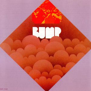 Bump (Vinyl)