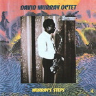 David Murray - Murray's Steps