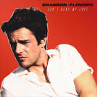 Brandon Flowers - Can't Deny My Love (CDS)