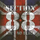 Section 88 - Ain't No Black